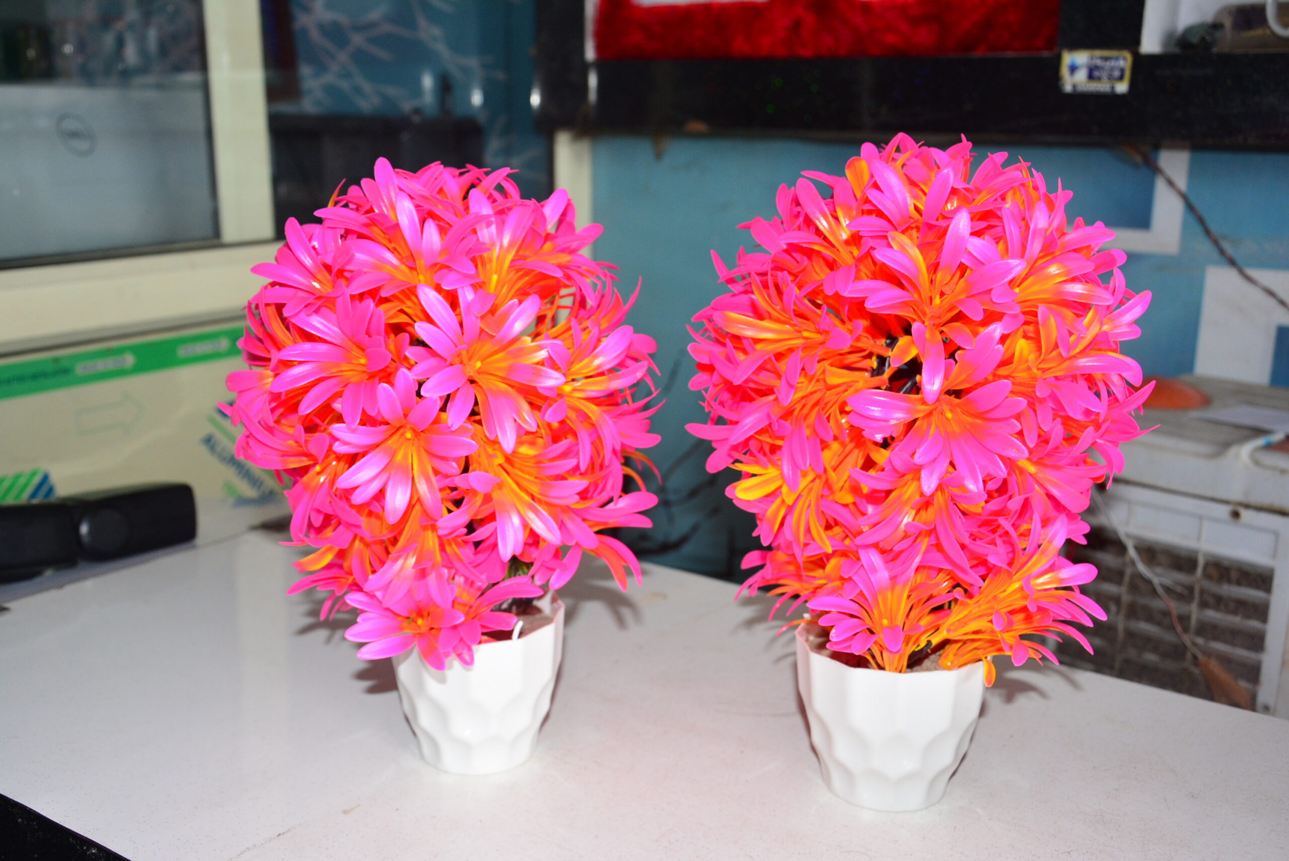 Anjali Sharma (Delhi)